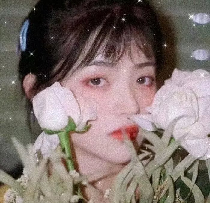 自由鸟