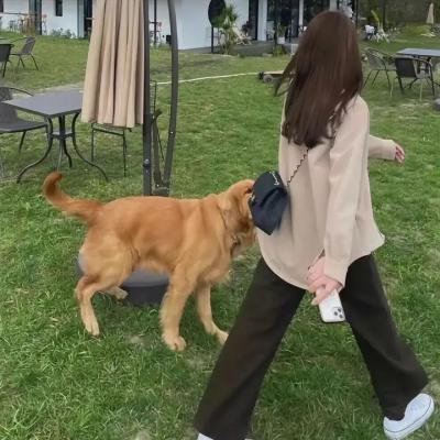 女皇之刃 叛乱