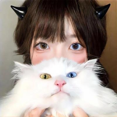 疯狂的狮王